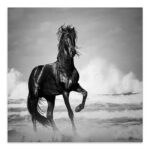 Πίνακας σε καμβά “Black Horse” Megapap ψηφιακής εκτύπωσης 60x60x3εκ.
