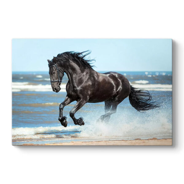 Πίνακας σε καμβά “Black Horse” Megapap ψηφιακής εκτύπωσης 100x70x3εκ.